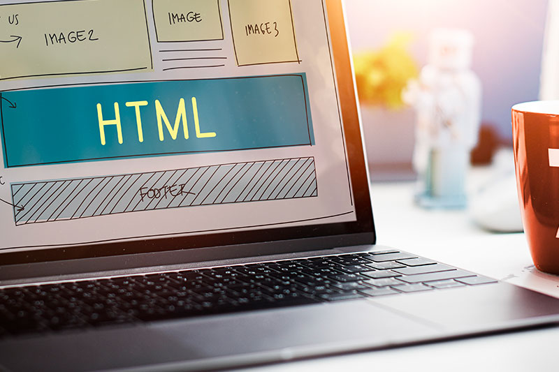 layout grafico sito web