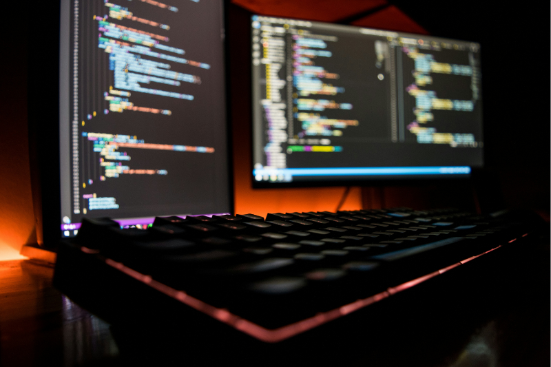 web developer infobasic