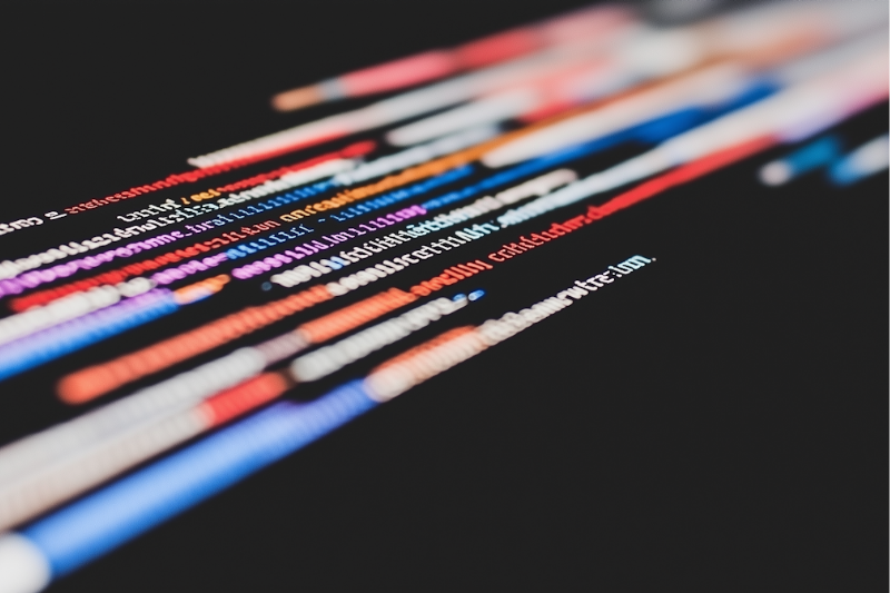 web developer senza laurea